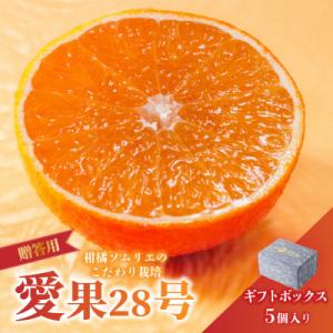 ふるさと納税 松山市 【先行予約】11月下旬より発送 愛果28号 L〜2L 美品5玉入り ギフトボッ...