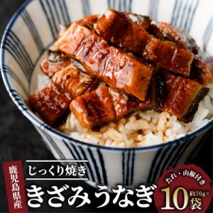 ふるさと納税 指宿市 【鹿児島県産】うなぎ蒲焼じっくり焼き きざみ約70g×10袋 化粧箱入り(02...