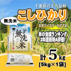 ふるさと納税 大網白里市 【令和7年産】【特A評価】千葉県産「コシヒカリ」無洗米 5kg(5kg×1袋)