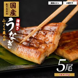 ふるさと納税 指宿市 【鹿児島県産】うなぎ蒲焼じっくり焼き約125g×5尾 化粧箱入り(026-19...
