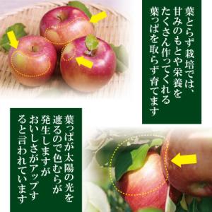 ふるさと納税 黒石市 【26年11月から順次発...の詳細画像1