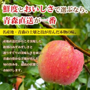 ふるさと納税 黒石市 【26年11月から順次発...の詳細画像3