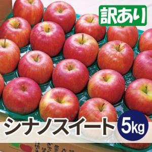 ふるさと納税 黒石市 【26年11月から順次発送】平均糖度13度以上! シナノスイート 約5kg 訳あり 青森県産 りんご