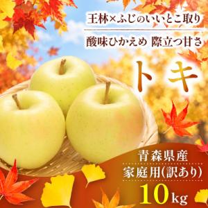 ふるさと納税 黒石市 【10月から順次発送】訳あり 青森りんご トキ 約10kg ふじと王林の良いと...