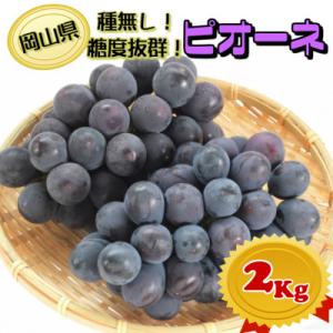 ふるさと納税 津山市 【2026年発送】糖度抜群ぶどう【秀品】岡山産!種なしピオーネ2kg以上(3〜4房)　ギフトにも