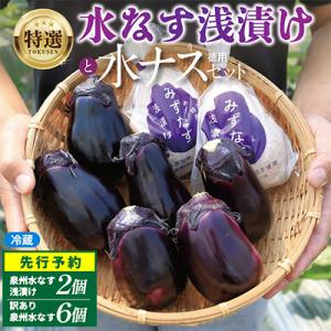 ふるさと納税 泉佐野市 特選無添加 水なす浅漬けと訳あり水ナス 合計8個セット