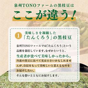 ふるさと納税 泉佐野市 【畑から直送】朝採り黒...の詳細画像1