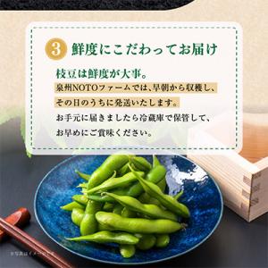 ふるさと納税 泉佐野市 【畑から直送】朝採り黒...の詳細画像3