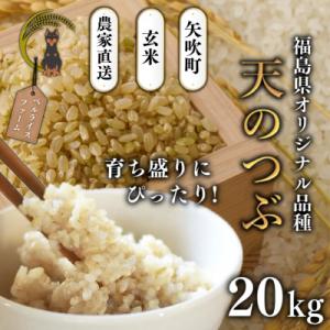 ふるさと納税 矢吹町 【R8年産先行受付】玄米 農家直送 ベルライスファームの天のつぶ 20kg