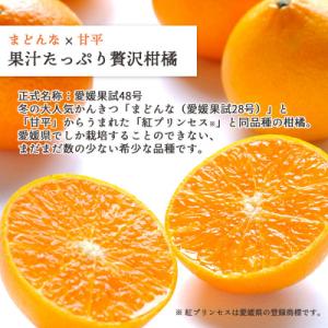 ふるさと納税 八幡浜市 【先行受付】甘平×まど...の詳細画像1