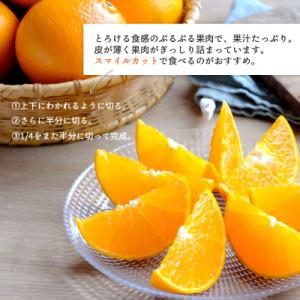 ふるさと納税 八幡浜市 【先行受付】甘平×まど...の詳細画像2