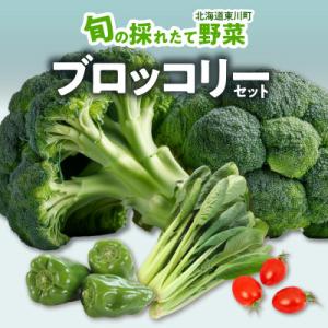 ふるさと納税 東川町 旬の採れたて野菜「ブロッコリーセット」 ...