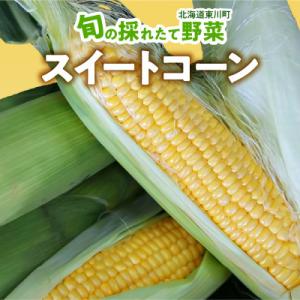 ふるさと納税 東川町 旬の採れたて野菜「スイートコーン」 ...