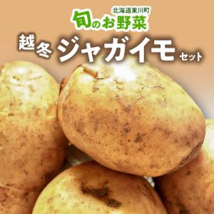 ふるさと納税 東川町 旬のお野菜「越冬ジャガイモセット」 ...