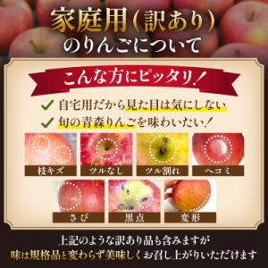 ふるさと納税 青森市 【26年11月から発送】...の詳細画像3
