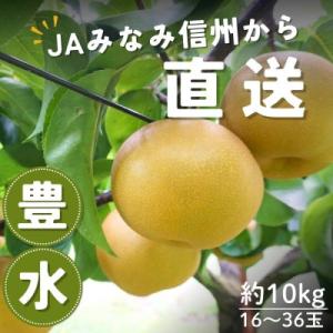 ふるさと納税 豊丘村 R8年発送【南信州産】豊水梨　秀品　約10kg　16〜36玉　9月上旬〜順次発...