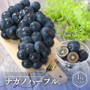 ふるさと納税 松川町 ぶどう ナガノパープル(長野県産秀品)1kg【2026年8月下旬〜10月上旬頃発送予定】
