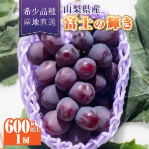 ふるさと納税 山梨市 【2026年発送】富士の輝き1房(600g以上)