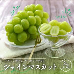 ふるさと納税 松川町 ぶどう シャインマスカット(長野県産秀品)2kg【2026年9月下旬〜11月上旬頃発送予定】