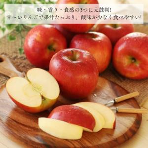 ふるさと納税 松川町 りんご シナノスイート(...の詳細画像1