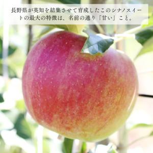 ふるさと納税 松川町 りんご シナノスイート(...の詳細画像2
