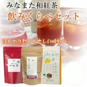ふるさと納税 水俣市 国産 みなまた 和紅茶飲みくらべ3種 ティーバッグ 紅茶 レモンティー【福田農...