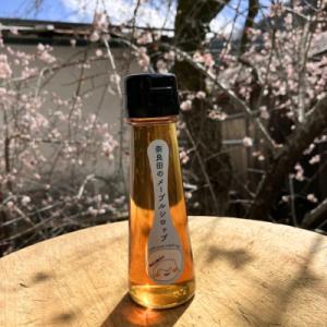ふるさと納税 早川町 奈良田のメープルシロップ ...の商品画像