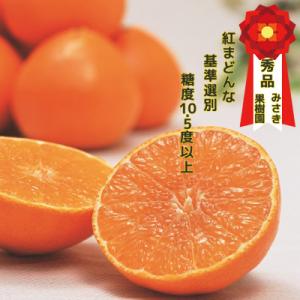 ふるさと納税 八幡浜市 【12月上旬〜順次発送】紅まどんな と同品種　みさき果樹園の愛まどんな3kg...