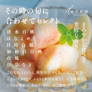 ふるさと納税 津山市 先行受付【星乃白桃】岡山...の詳細画像1