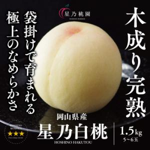 ふるさと納税 津山市 先行受付【星乃白桃】岡山県の桃園からお届けする三つ星の桃 1.5kg(5〜6玉)