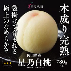 ふるさと納税 津山市 先行受付【星乃白桃】岡山県の桃園からお届けする三つ星の桃 780g (3玉)