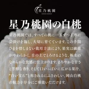 ふるさと納税 津山市 先行受付【星乃白桃】岡山...の詳細画像2