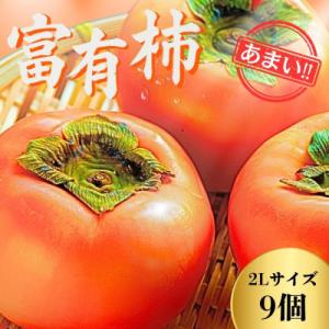 ふるさと納税 大野町 甘くておいしい岐阜の柿 【富有柿】 2L×9個 秀品 岐阜県 大野町(2025...
