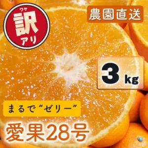 ふるさと納税 松山市 訳あり 愛果28号(紅まどんなと同品種)3kg(8個〜18個) 2025年11...