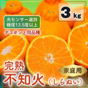 ふるさと納税 松山市 家庭用 不知火(デコポンと同品種)3kg 光センサー選別　糖度13.5度以上 2026年2月順次発送｜Yahoo!ふるさと納税