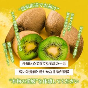 ふるさと納税 松山市 【先行予約】2026年1...の詳細画像1