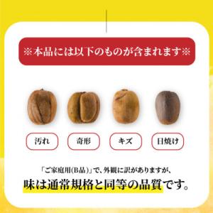 ふるさと納税 松山市 【先行予約】2026年1...の詳細画像2