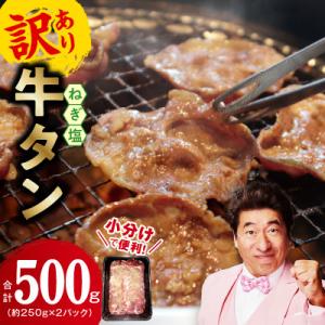 ふるさと納税 泉佐野市 【お試し】ねぎ塩牛タン(成型)500g 小分け 250g×2P
