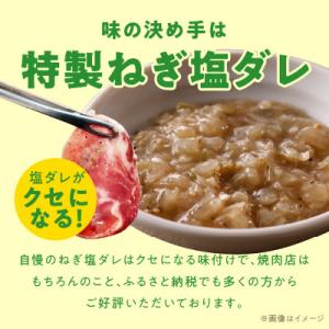 ふるさと納税 泉佐野市 【お試し】ねぎ塩牛タン...の詳細画像2