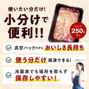 ふるさと納税 泉佐野市 【お試し】ねぎ塩牛タン...の詳細画像3