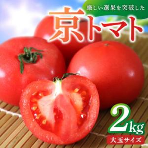 ふるさと納税 京丹後市 京都 京丹後産・京トマト 2kg(8〜10玉) 春夏発送