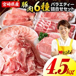 ふるさと納税 国富町 豚肉バラエティー詰合せセット 4.5kg(国富町)