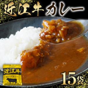 ふるさと納税 竜王町 近江牛　レトルト　カレー　160g×15袋セット　K063_N1
