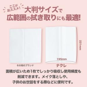 ふるさと納税 岩手県 【岩手県】ナクレ ティッ...の詳細画像2