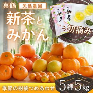 ふるさと納税 真鶴町 新茶と季節の柑橘詰め合わせ5種5kg! いろんな味が楽しめる農家直送みかんBo...
