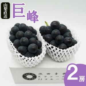 ふるさと納税 甲州市 【2026年発送】厳選 池田青果 巨峰 2房(計1.0kg以上)(IS)B-468