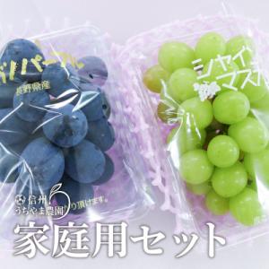 ふるさと納税 長野県 ナガノパープル&amp;シャインマスカット家庭用セット(訳あり品) 約350g×2パッ...