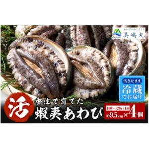 ふるさと納税 香美町 活あわび 養殖 9.5cm×4枚 400g〜480g　20-03