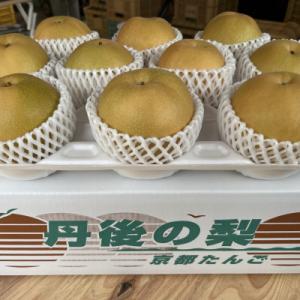 ふるさと納税 京丹後市 京都 京丹後産・大玉 ...の詳細画像3