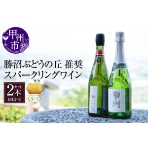 ふるさと納税 甲州市 勝沼ぶどうの丘推奨スパークリングワイン辛口2本セット B2-604